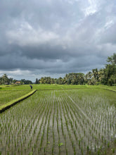 Bespoke Retreats Designed for you In Magical Bali in 2026