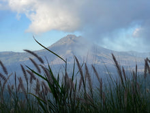 Bespoke Retreats Designed for you In Magical Bali in 2026