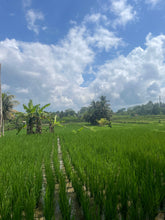 January Retreat in Bali: New Beginnings
