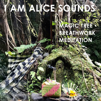 The Magic Tree Gentle Breathwork Meditation