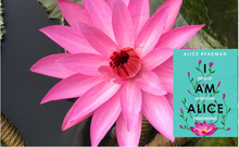 Cross the Finish Line: Write & Complete Your Book