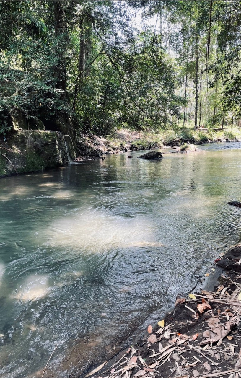 Sacred Waters Song by I Am Alice Sounds